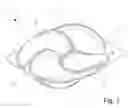 Fig. 02 - DETERGENT PRODUCT