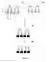 Fig. 07 - Medical device for the selective separation of a biological sample