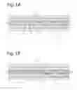 Fig. 02 - Cell growth matrix