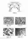 Fig. 05 - Hormone responsive tissue culture system and uses thereof