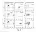 Fig. 06 - Hormone responsive tissue culture system and uses thereof