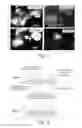 Fig. 09 - Hormone responsive tissue culture system and uses thereof