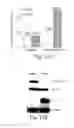 Fig. 12 - Hormone responsive tissue culture system and uses thereof