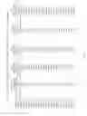Fig. 55 - Hormone responsive tissue culture system and uses thereof