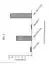 Fig. 07 - GENERATION OF CYTOTOXIC TUMOR SPECIFIC CELL LINES AND USES THEREOF
