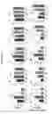 Fig. 06 - Generation of therapeutic cells using extracellular components of target organs