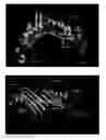 Fig. 01 - Mutant-type uricase, PEG modified mutant-type uricase, and application thereof