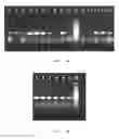 Fig. 04 - Mutant-type uricase, PEG modified mutant-type uricase, and application thereof