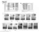 Fig. 09 - Lin28/let-7 crystal structures, purification protocols, and molecular probes suitable for screening assays and therapeutics