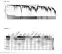 Fig. 03 - PHARMACEUTICAL COMPOSITION FOR NEURODEGENERATIVE BRAIN DISEASE AND SCREENING METHOD FOR THE SAME