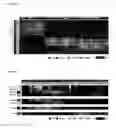 Fig. 22 - PHARMACEUTICAL COMPOSITION FOR NEURODEGENERATIVE BRAIN DISEASE AND SCREENING METHOD FOR THE SAME