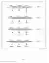 Fig. 02 - Construction of a quadruple enterotoxin-deficient mutant of 