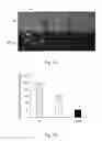 Fig. 04 - SYSTEM FOR OVER-EXPRESSING TARGET PROTEIN AND METHOD FOR OVER-EXPRESSING TARGET PROTEIN