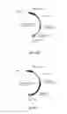 Fig. 07 - RECOMBINANT MAMMALIAN CELLS AND METHOD FOR PRODUCING SUBSTANCE OF INTEREST