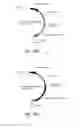 Fig. 40 - RECOMBINANT MAMMALIAN CELLS AND METHOD FOR PRODUCING SUBSTANCE OF INTEREST