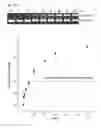 Fig. 35 - Methods and compositions for RNA-directed target DNA modification and for RNA-directed modulation of transcription