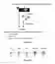 Fig. 48 - Adeno-associated virus vector variants for high efficiency genome editing and methods thereof