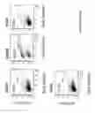 Fig. 92 - Adeno-associated virus vector variants for high efficiency genome editing and methods thereof