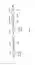 Fig. 04 - Synthesis of long-chain polyunsaturated fatty acids by recombinant cells