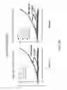 Fig. 98 - SUSCEPTIBILITY AND RESISTANCE OF MICROORGANISMS