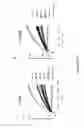 Fig. 22 - OLIGONUCLEOTIDE-BASED PROBES FOR DETECTION OF CIRCULATING TUMOR CELL NUCLEASES