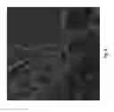 Fig. 07 - DNA-antigen exchange and amplification