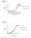 Fig. 03 - Determining WT-1 specific T cells and WT-1 specific T cell receptors (TCRs)