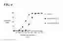 Fig. 04 - Determining WT-1 specific T cells and WT-1 specific T cell receptors (TCRs)