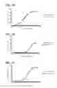 Fig. 06 - Determining WT-1 specific T cells and WT-1 specific T cell receptors (TCRs)