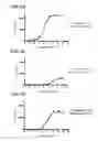 Fig. 08 - Determining WT-1 specific T cells and WT-1 specific T cell receptors (TCRs)