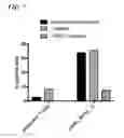 Fig. 09 - Determining WT-1 specific T cells and WT-1 specific T cell receptors (TCRs)