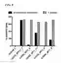 Fig. 10 - Determining WT-1 specific T cells and WT-1 specific T cell receptors (TCRs)