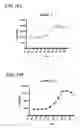Fig. 12 - Determining WT-1 specific T cells and WT-1 specific T cell receptors (TCRs)