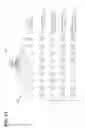 Fig. 23 - Determining WT-1 specific T cells and WT-1 specific T cell receptors (TCRs)