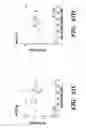 Fig. 28 - METHODS AND ASSAYS RELATING TO HUNTINGTONS DISEASE