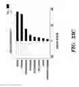 Fig. 32 - METHODS AND ASSAYS RELATING TO HUNTINGTONS DISEASE
