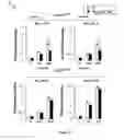 Fig. 06 - Methods for determining the metabolic status of lymphomas