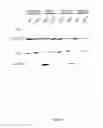 Fig. 09 - Targeting the histone pathway to detect and overcome anthracyclin resistance