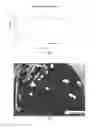 Fig. 02 - Probiotic bifidobacterium strain