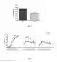 Fig. 08 - Probiotic bifidobacterium strain