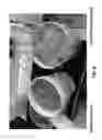 Fig. 07 - Method of increasing water soluble nutrient extraction from plant matter
