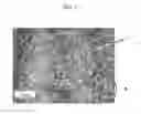 Fig. 03 - Annealed steel material and method for manufacturing the same