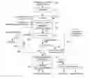 Fig. 01 - Process for extraction of copper from arsenical copper sulfide concentrate