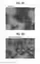 Fig. 09 - METHOD OF PRODUCING WEAR-RESISTANT IRON-BASED SINTERED ALLOY