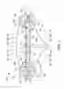 Fig. 02 - CVD apparatus