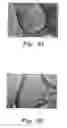 Fig. 06 - Method for producing noble metal nanocomposites