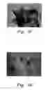 Fig. 07 - Method for producing noble metal nanocomposites
