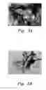Fig. 10 - Method for producing noble metal nanocomposites