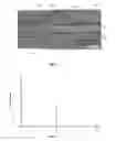 Fig. 05 - Polycrystalline textured materials exhibiting heterogeneous templated grain growth, methods of forming the same, and related systems