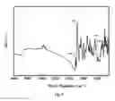 Fig. 04 - POLYMIDE FIBER AND PREPARATION METHOD THEREOF